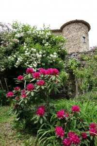 Château du Pin
