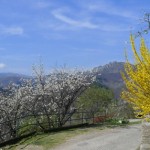 La Chareyre – Les Arnauds – Les Champeaux