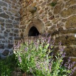 Les Hivières – Le Pin – La Bertrande