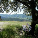 Les Soulhets – Mas de Bastide