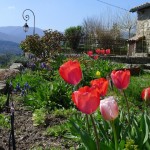 Les Soulhets – Mas de Bastide