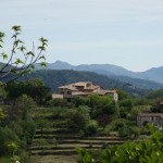 Le Village – La Fasille